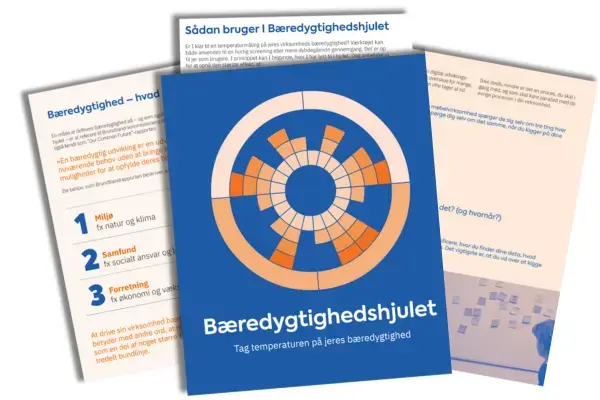 e-bog - Bæredygtighedshjulet
